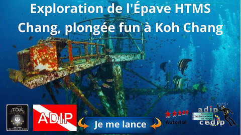 Exploration de l'Épave HTMS Chang, a koh Chang en 2023, mérou, platax, anges, murène, némo