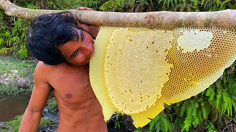 Hand-harvests Honey from Beehive