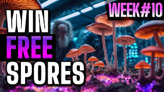 Win free spores week 10 spore syringe give away