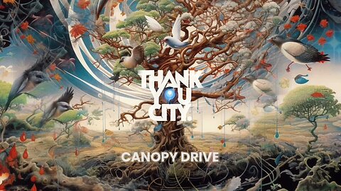 Thankyou City - Canopy Drive