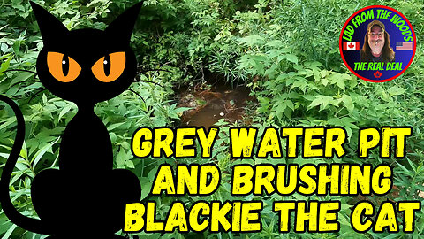July 20th, 2023 | Grey Water Pit And Brushing Blackie The Cat