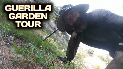 Guerilla Garden Tour