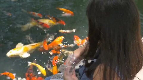 Happy Asian girl playing with fancy carp fish in the pond