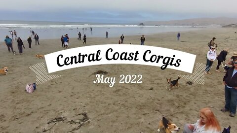 May 2022 Corgi Party, Cayucos Beach