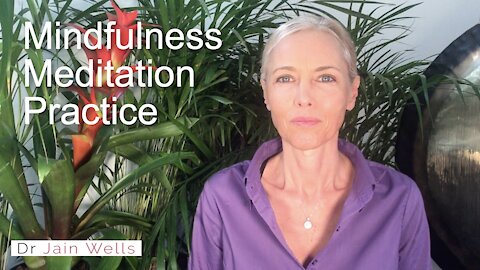 22. Mindfulness Meditation Practice