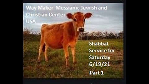 Parashat Chukat- Shabbat Service for 6.19.21 - Part 1