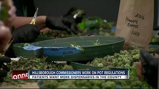 HIllsborough County strikes down cap on number of medical marijuana dispensaries allowed to open