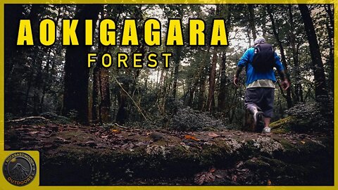 Hiking Aokigahara Forest | It's NOT What you Think