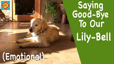 Saying GOOD-BYE to our LILY-BELL (Emotional) | EP 6 Summer in our OFF GRID SELF-SUSTAINING HOME