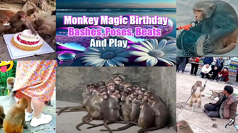 Monkey Magic Birthday Bashes, Poses, Beats, and Play