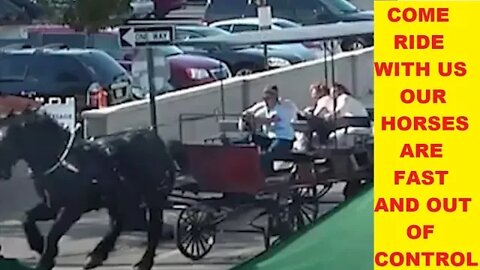 Runaway Horse Palmetto Carriage Company - It This A Horse Problem? It Is Never The Horse's Fault