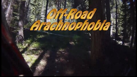 Off-Road Arachnophobia