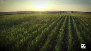 High suicide rates and mental health issues big concern in farming, ranching communities