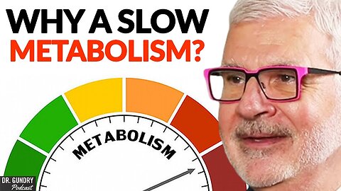 The #1 REASON You Might Have A SLOW Metabolism | Dr. Steven Gundry