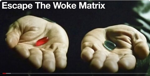 Michael Shellenberger's Guide to Escaping the Woke Matrix
