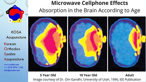 Health Risks Associated with Wireless Devices - Revised