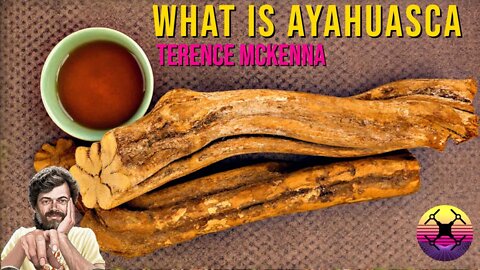 What is Ayahuasca? - Terence McKenna on Ayahuasca and its use in Shamanic Rituals