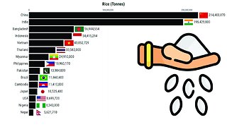 Biggest Rice Producers in the World