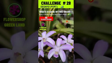 CHALLENGE # 28 |WHATS IS NAME OF THIS ORCHIDS?|YOU WANT TO LEARN? |# SHORT