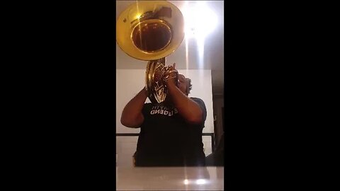 Me Playing Mega Man 9: Jewel Man on the Tuba (my arrangement)