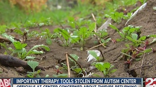Ducks stolen from the Kern County Autism Center