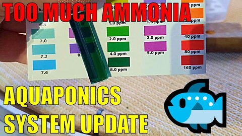 Aquaponics System Cycling | Lock Down is Here & Dealing with Ammonia Spike, Falling pH