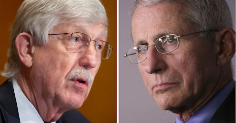 Busted! The Great Fauci/NIH Anti-Science Conspiracy!