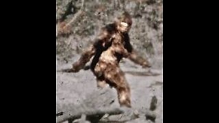 Bigfoot