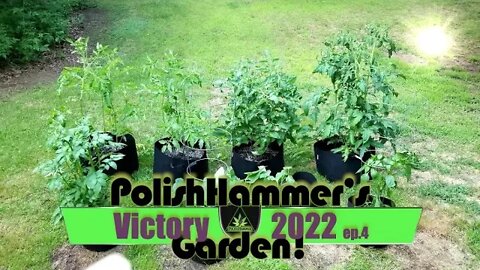 Victory Garden ep 4 "Wet Peppers" 🍅🥒🌶🥔🔨😎