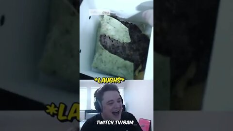 Streamer LOSES IT Over MrBeast Shrek Quesadilla!