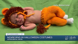 Newborns dressed in Halloween costumes at Jupiter Medical Center