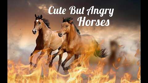 National Geographic Documentary Cute And Angry Horse 2021 Replay