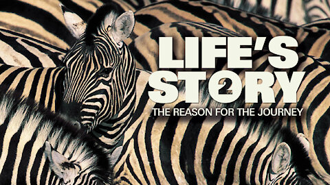 Life's Story 2: The Reason For The Journey