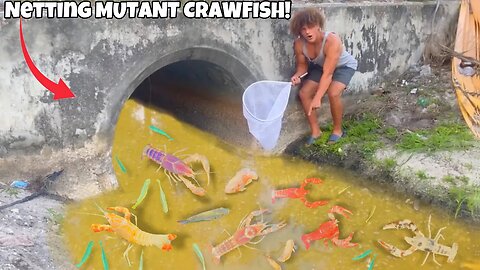 This POLLUTED Water Is FILLED With MUTANT CRAWFISH!