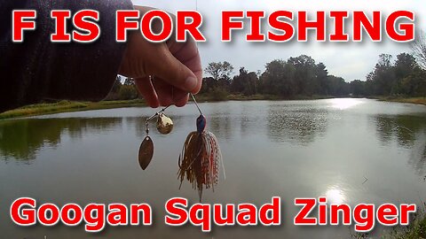 Googan Baits Zinger Unboxing - Fishing - Review