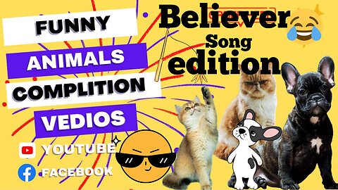 This will make you laugh|Believe song pets version funny video|