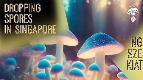 Dropping Spores in Singapore & Bewildering Mycelium Creations | Ng Sze Kiat