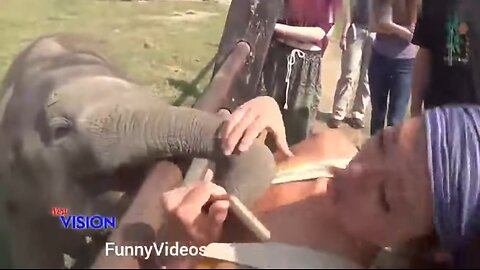Funny Animals Videos | Funny Girl Video | Funny girl Fails | funny zoo Animals
