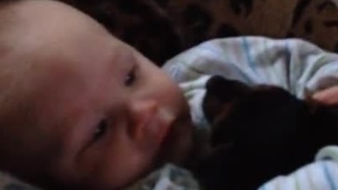 Loving puppy adorably cuddles baby