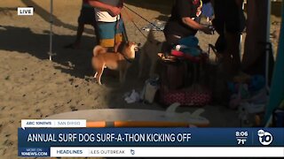 Annual Surf Dog Surf-a-Thon kicks off today