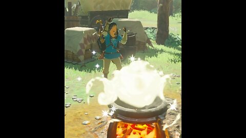 Cooking Food in The Legend of Zelda Breath of the Wild