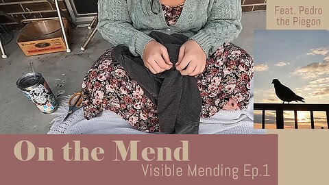 On the Mend: Visible Mending feat. Pedro the Pigeon ep 1
