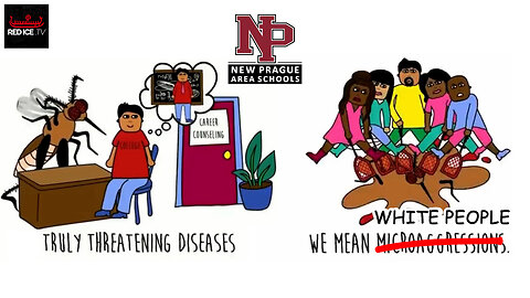 Minnesota School District Compares White People To Disease Carrying Mosquitoes