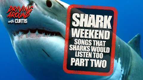Shark Weekend - Songs For Sharks - part two