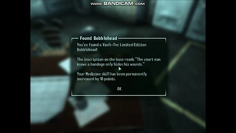 Vault 101 | Medicine Bobblehead - Fallout 3 (2008) - 11 of 13