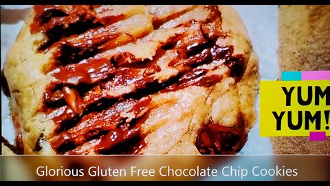 GLORIOUS Gluten Free Chocolate Chip Cookies. Delicious gluten free cookies, perfect for RV travel.