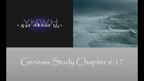 Genesis Study 37