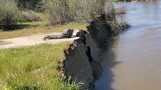 Police rescue dog from river