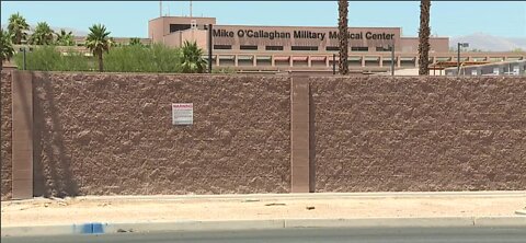 Nellis Air Force Base investigates person mutilating, dismembering cats