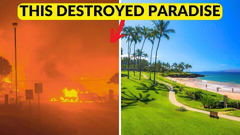 Maui's 2023 Inferno: The Fight to Rebuild